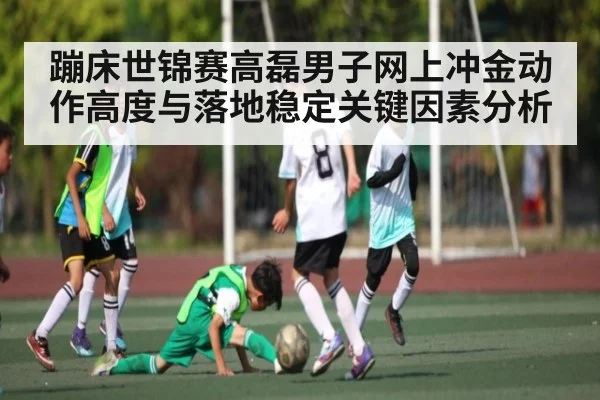 蹦床世锦赛高磊男子网上冲金动作高度与落地稳定关键因素分析